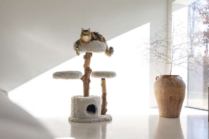 Designed by Lotte Kratzbaum Ziza